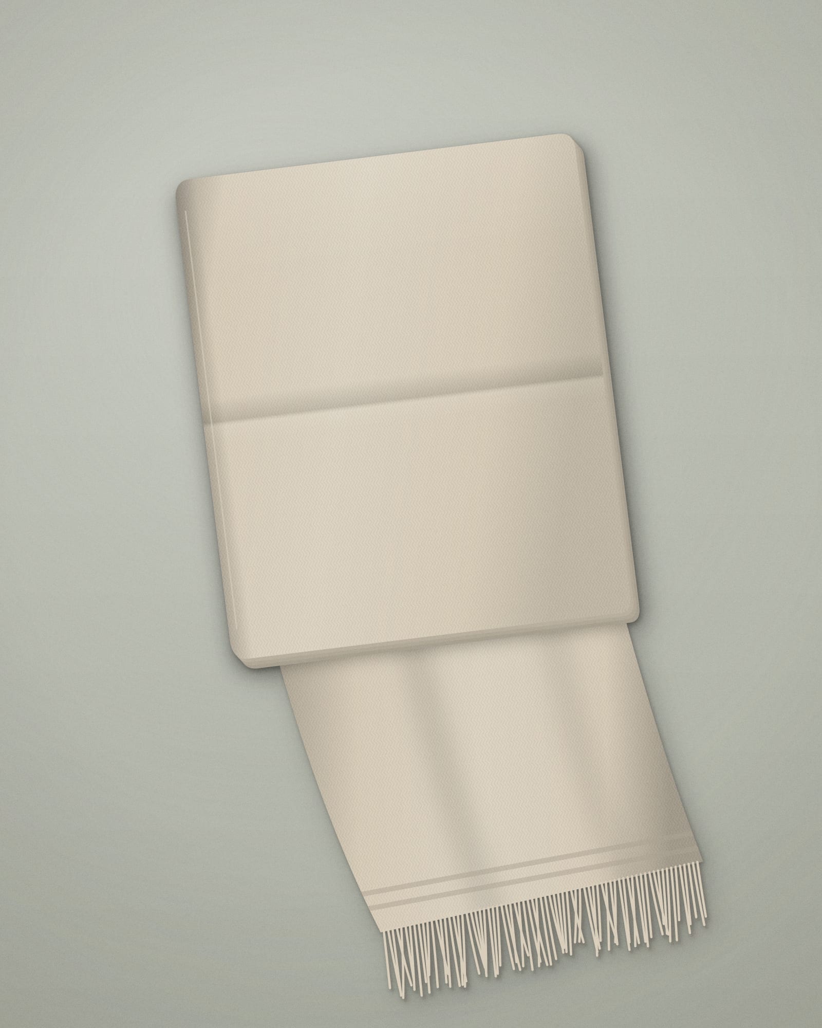 Loro Piana Grande Unita Cashmere Stole — front view